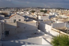 800px-The_city Terrasses de la Médina de Tunis (Crédits Raspail, image libre de droits)