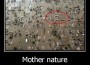 nature.jpg nature.jpg