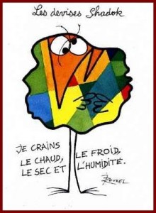 Principe de précaution, je crains tout
