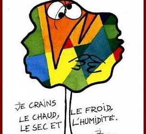 Principe de précaution, je crains tout