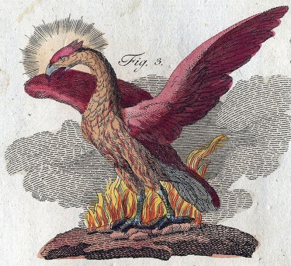 phenix-bertuch