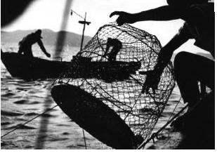 pêcheurs de poisson