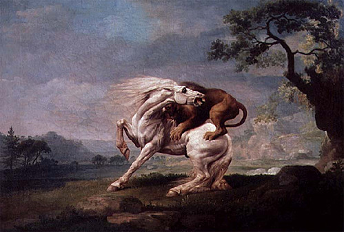 Lion-attaquant-un-cheval-Stubbs