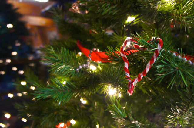 Sapin de Noël