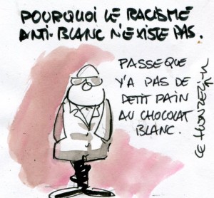 Racisme Anti Blanc En France 2010