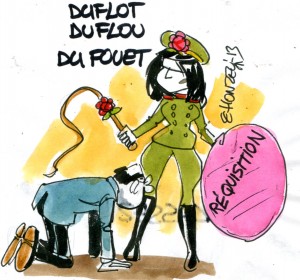 Duflot réquisition (Crédits : René Le Honzec/Contrepoints.org, licence Creative Commons)