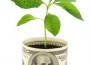 capital risque capital investissement fonds capital risque capital investissement fonds