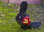 SovietMudkip001 SovietMudkip001