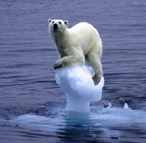 http://www.contrepoints.org/wp-content/uploads/2013/10/polar-bear.jpg