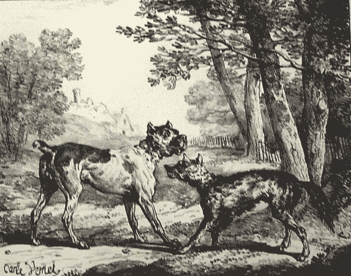 analyse de la fable le loup et le chien maigre