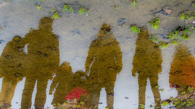 individus miroir CC Hassan Kardous