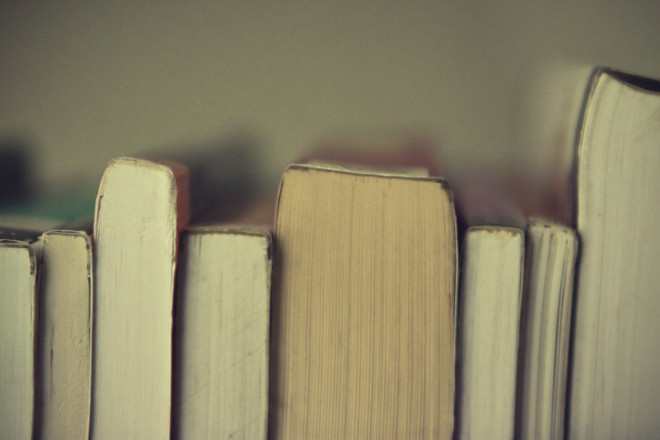 Livres lectures (Crédits d-221 books, licence Creative Commons)