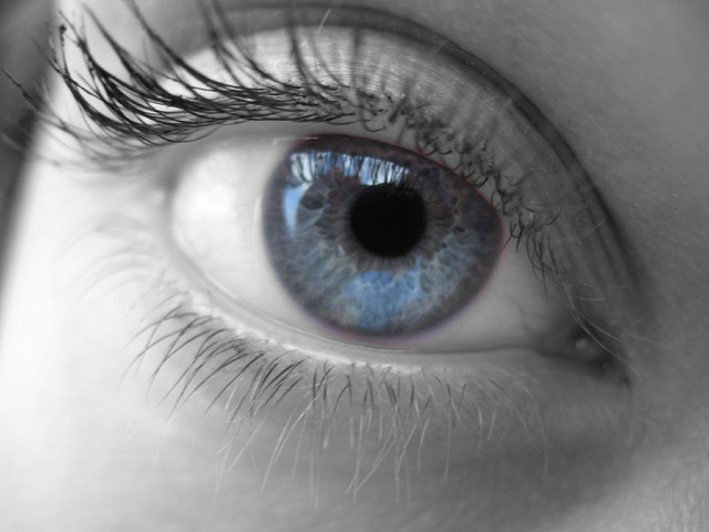 oeil credits fabio (licence creative commons)