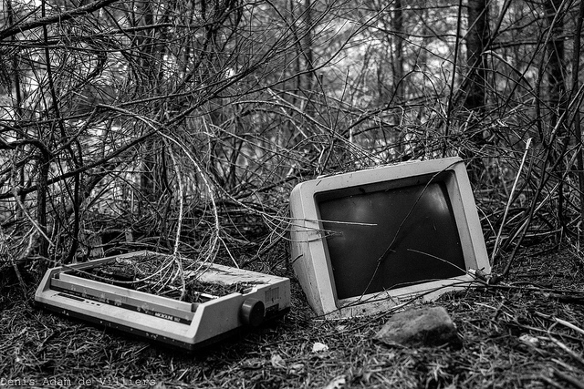 écologie credits denis adam de villiers (licence creative commons)