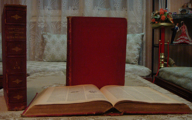 dictionnaire credits djame2601 (licence creative commons)