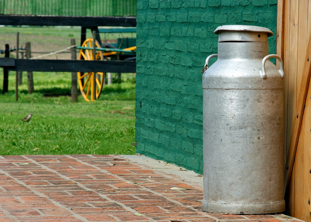 lait credits doug8888 (licence creative commons)
