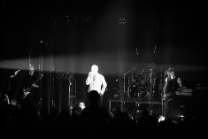 Bauhaus credits Figuelredo (licence creative commons)