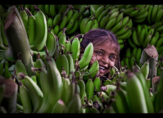 bananes credits Ram Reddy (licence creative commons)