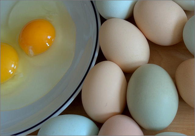 All eggs are created equals credits NYcandre (CC BY-NC-ND 2.0)