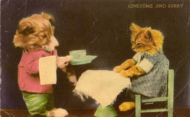 Lonesome and Sorry - credits Lynn (Gracie's mom) (CC BY-NC-ND 2.0)