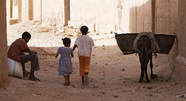 Maroc - De dos d'âne - Nwardez (CC BY-NC-SA 2.0)