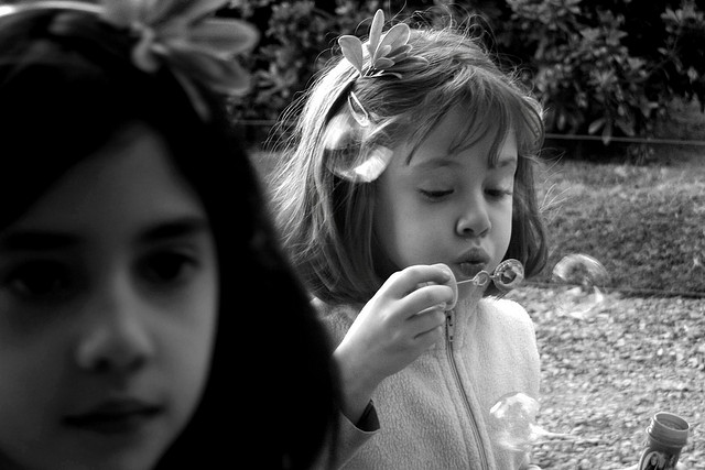 in the wind credits Céleste RC (CC BY-NC 2.0)