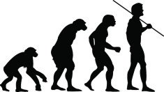 evolution by brian wright(CC BY-ND 2.0)
