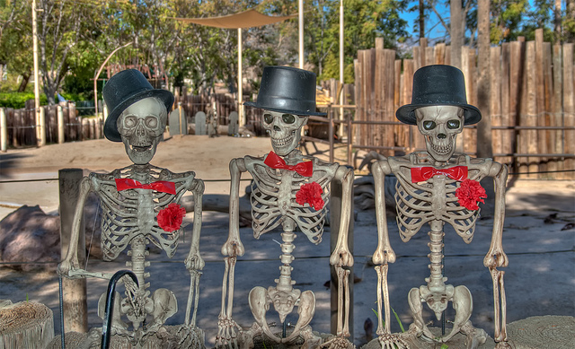 Three halloween skeletons credits Doug Aghassi (CC BY-ND 2.0)