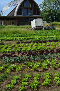 farm-simon blackley (CC BY-ND 2.0)