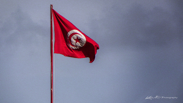 Tunisie : le gel des salaires, une panacée ? Tunisie : le gel des salaires, une panacée ?