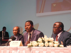 yayi boni by sarah owermohle (CC BY-NC 2.0)