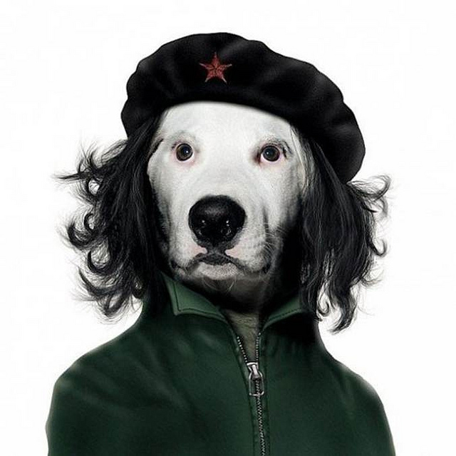 Che guevara credits Grant Stantiall (CC BY-ND 2.0)