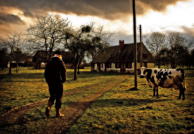 Retour à la ferme-Osbern(CC BY-NC 2.0) 