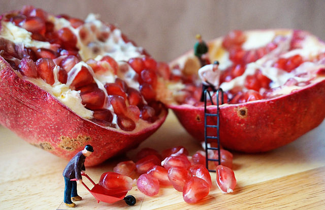 Kate Ter Haar-How to seed a pomagranate-Creative Commons