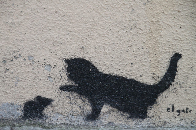 Pop H-Le chat et la souris-Creative common