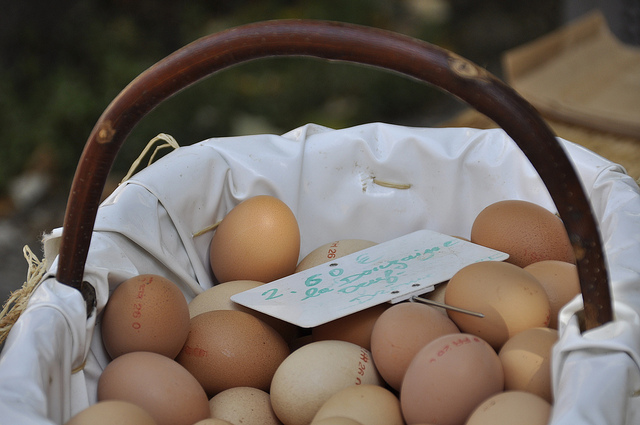 oeufs-MPhotographe(CC BY-ND 2.0)
