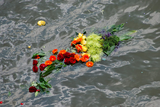 Frédéric Bisson-Gerbe à la Seine(CC BY-NC-ND 2.0)