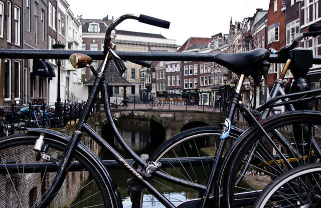 Netherland-antnO Martinez A-G(CC BY-NC-ND 2.0)