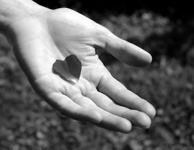 Avoir le coeur dans la main credits Amandine FRANCOIS-ROUSSEAUX ((CC BY-NC-ND 2.0))