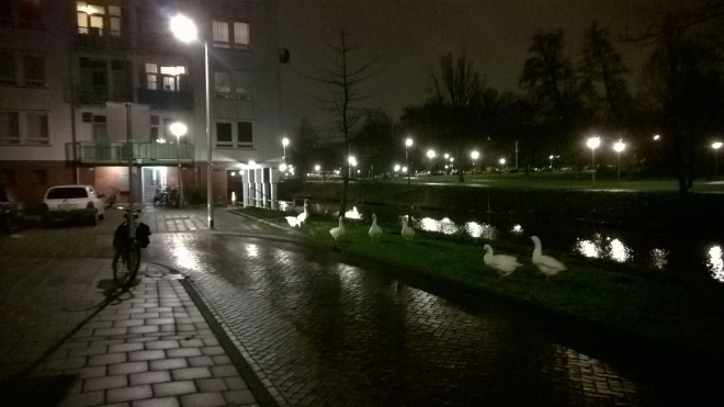 Amsterdam ouest-Tous droits réservés
