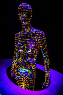 Richard Ricciardi-Human Genome(CC BY-NC-ND 2.0)