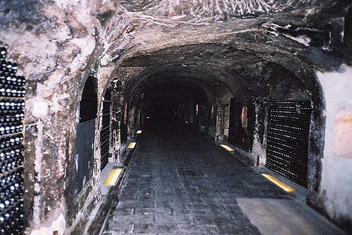 Yael Beeri Moet&Chandon caves(CC BY-NC-ND 2.0)