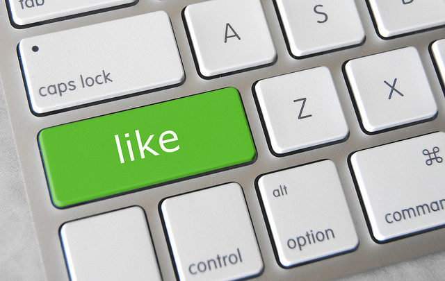 Like by GotCredit(CC BY 2.0)