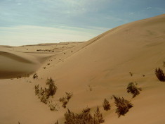 Le désert de Gobi (Crédits Junming, licence CC-BY-SA 3.0)