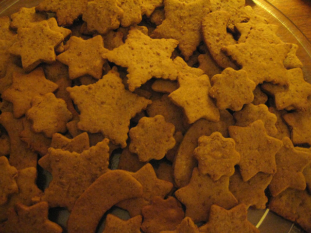 Speculoos-Selena N. B. H.(CC BY 2.0)