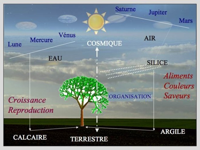http://seppi.over-blog.com/2016/03/quand-que-choisir-tackle.html