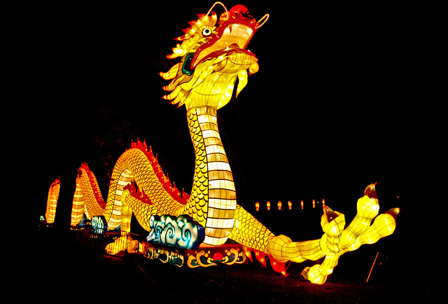 Rolf Venema_Dragon(CC BY-NC-ND 2.0)