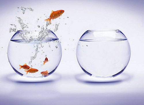 L'innovation, étouffée par ceux qui la défendent L'innovation, étouffée par ceux qui la défendent