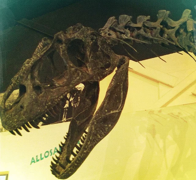 Dinosaure