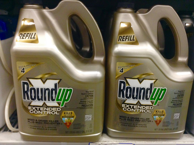 La guerre de Greenpeace contre le glyphosate